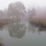 IMG_0601