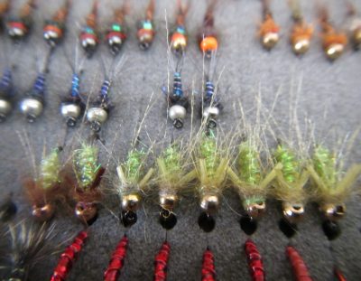 Most Popular Flies In South Africa