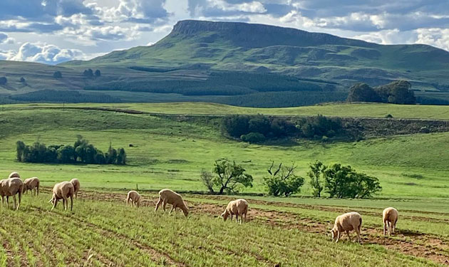 Valley Lakes Cottages - Underberg accommodation - KwaZulu-Natal