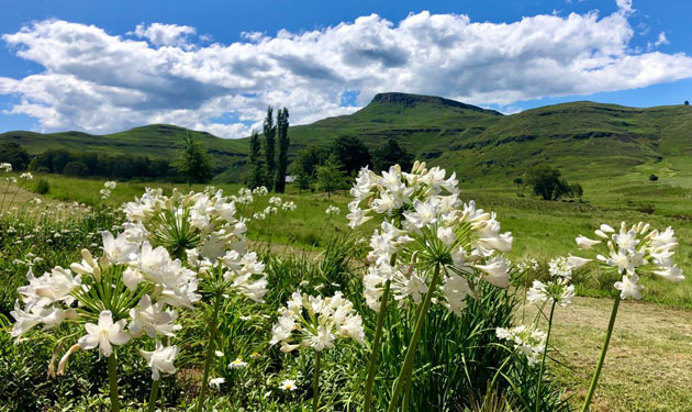 Valley Lakes Cottages - Underberg accommodation - KwaZulu-Natal
