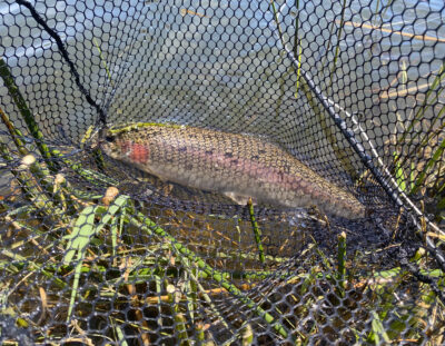 What makes a great Fly Fisherman